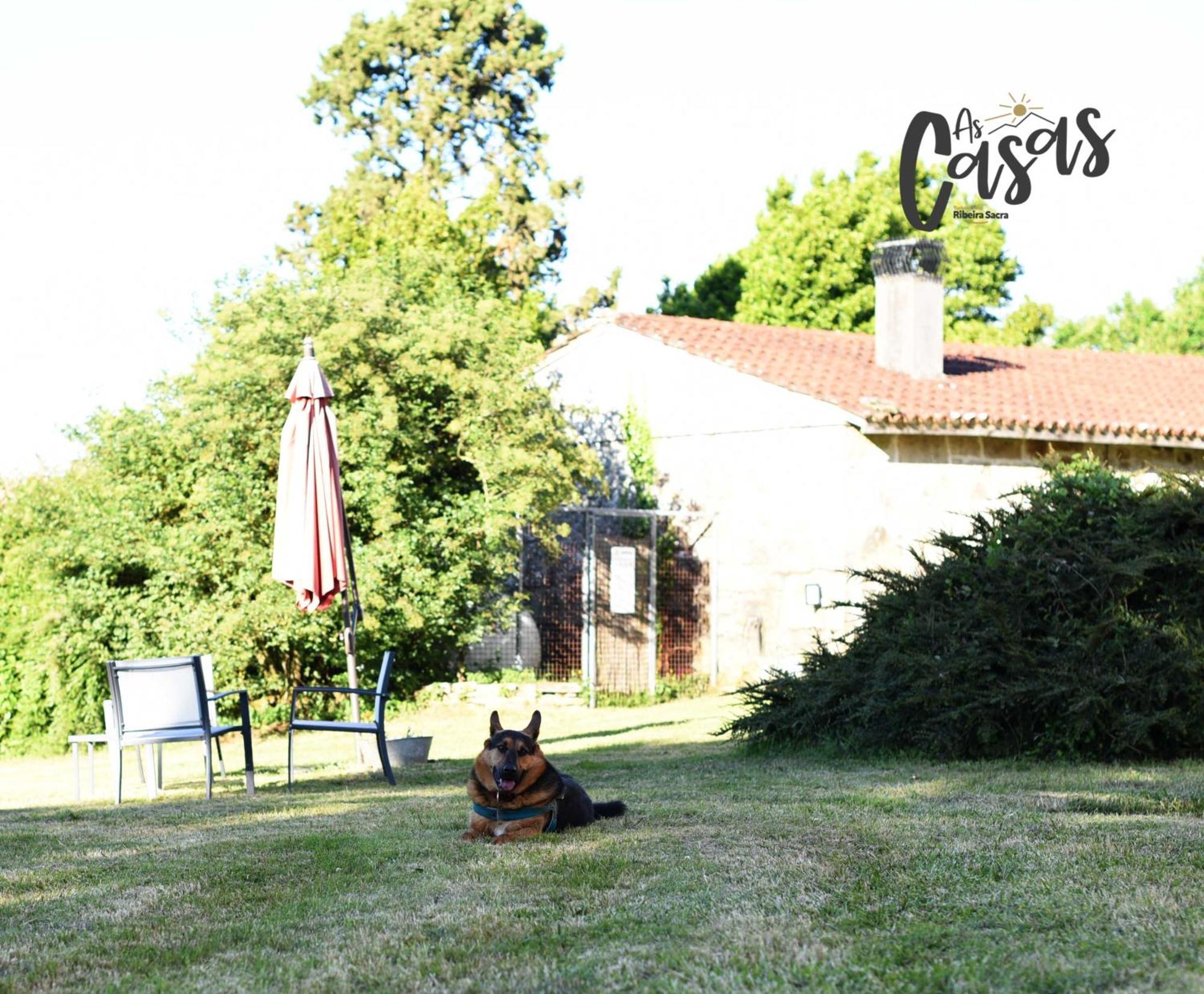 Hotel As Casas Ribeira Sacra Chantada Exterior foto